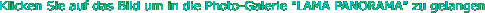item11