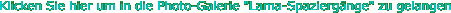 item8