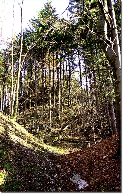 BMBurg1