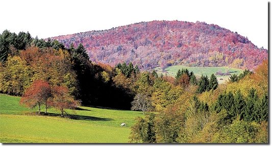 BMDerBlaueBerg2