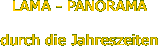 LAMA - PANORAMA