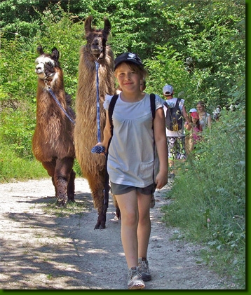 LamasPromenades06