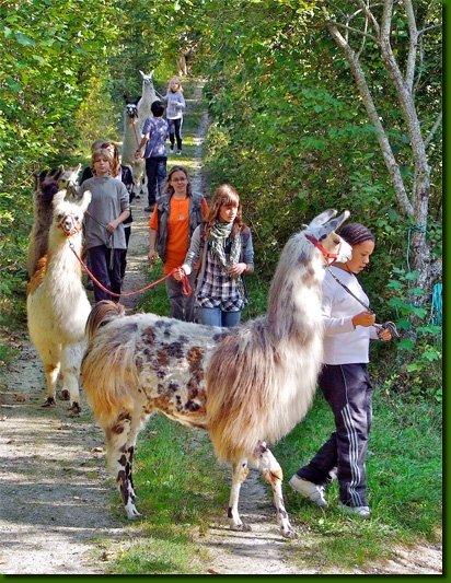 LamasPromenades08