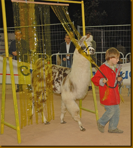 LamasSportKids01