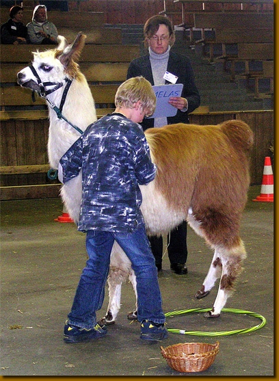 LamasSportKids02