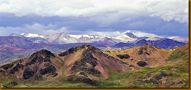 LamasAndes001