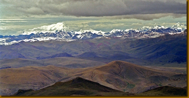 LamasAndes002