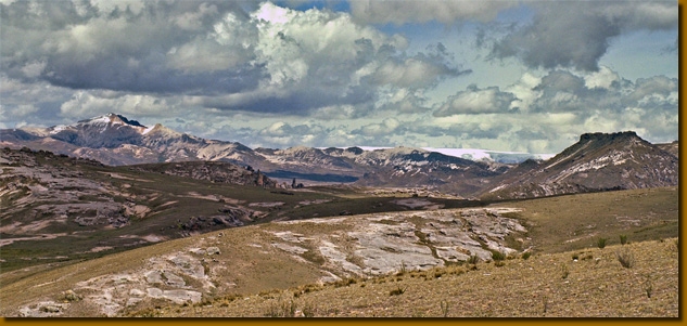 LamasAndes003
