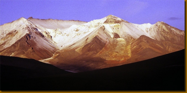 LamasAndes004
