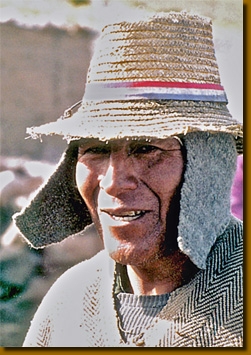LamasIndios005