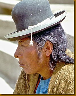 LamasIndios015