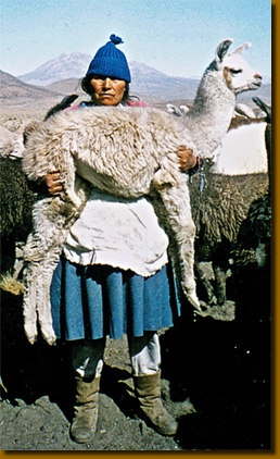 LChiliUInda