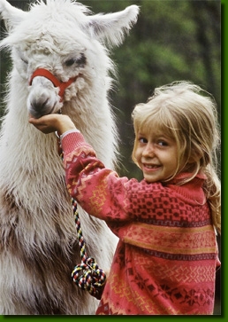 Lamasenfants01
