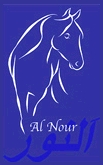 LogoAlNour1