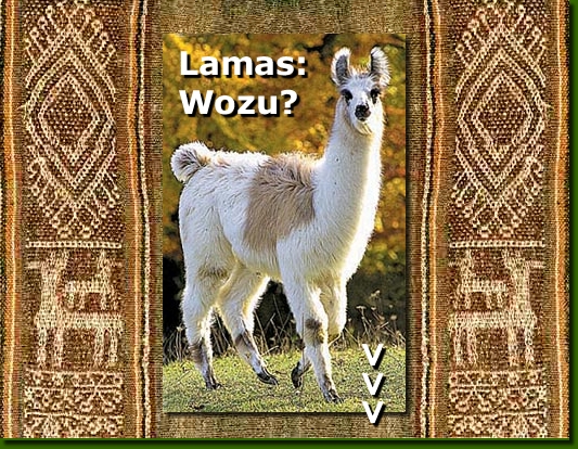 PeruAb